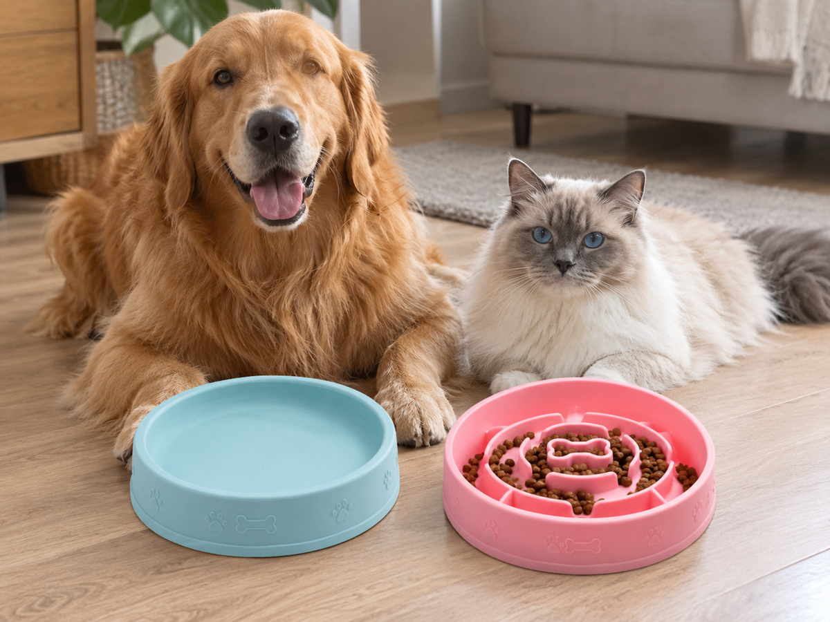 Gamelle Anti-Glouton 2-en-1 en Silicone - Nourriture & Eau pour Chien et Chat