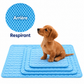 Tapis Rafraîchissant pour Chien et Chat- Idéal été, Sans Réfrigération
