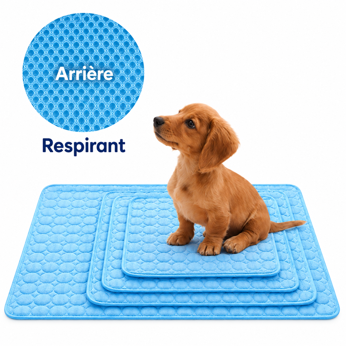 Tapis Rafraîchissant pour Chien et Chat- Idéal été, Sans Réfrigération