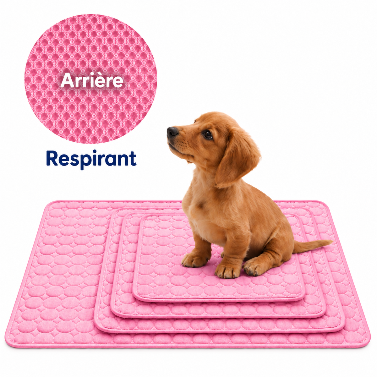 Tapis Rafraîchissant pour Chien et Chat- Idéal été, Sans Réfrigération