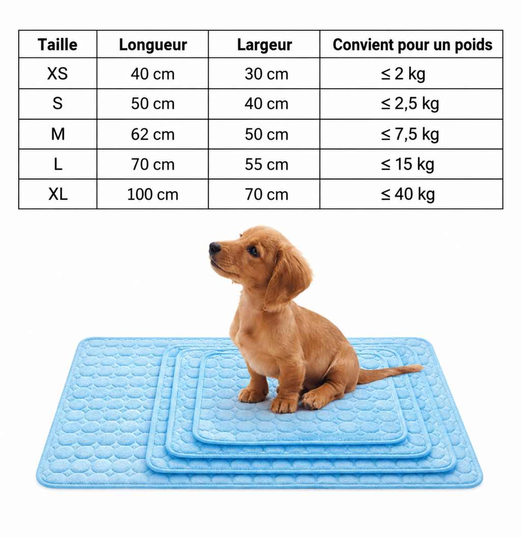 Tapis Rafraîchissant pour Chien et Chat- Idéal été, Sans Réfrigération