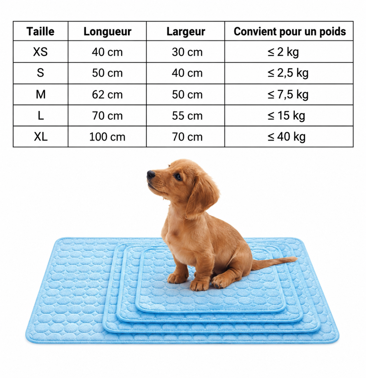 Tapis Rafraîchissant pour Chien et Chat- Idéal été, Sans Réfrigération