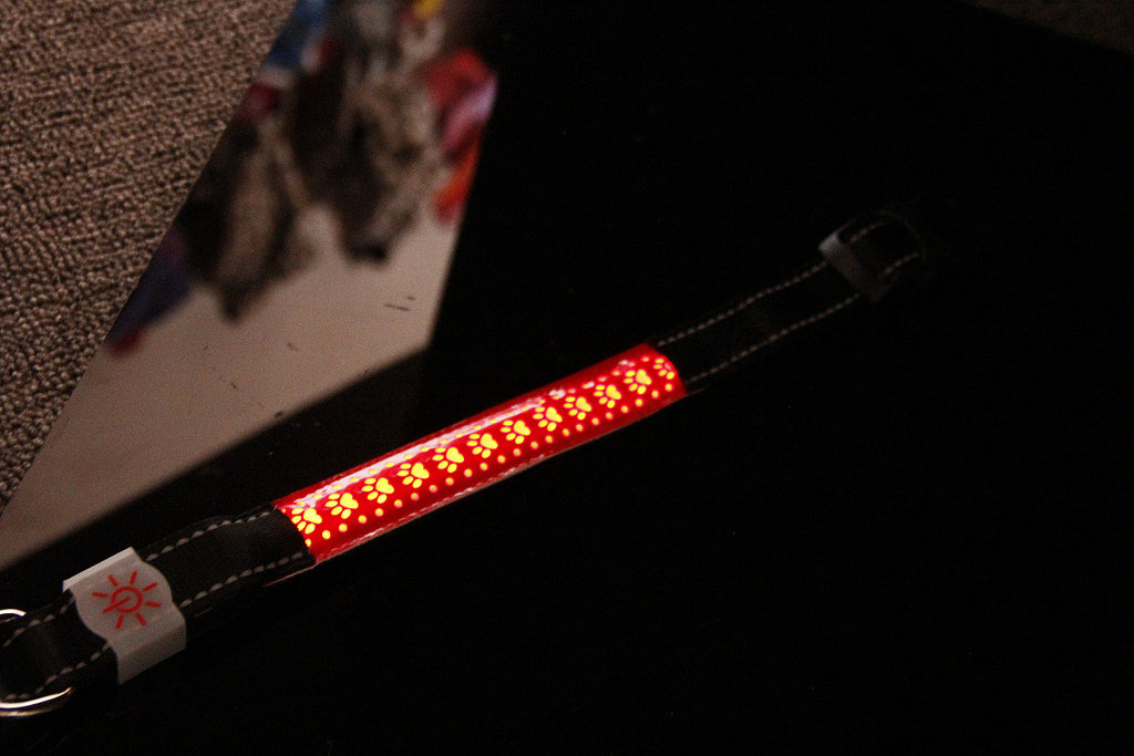 Colier Led Rechargeable en Cuir Gravé - Ajustable, Visible la Nuit