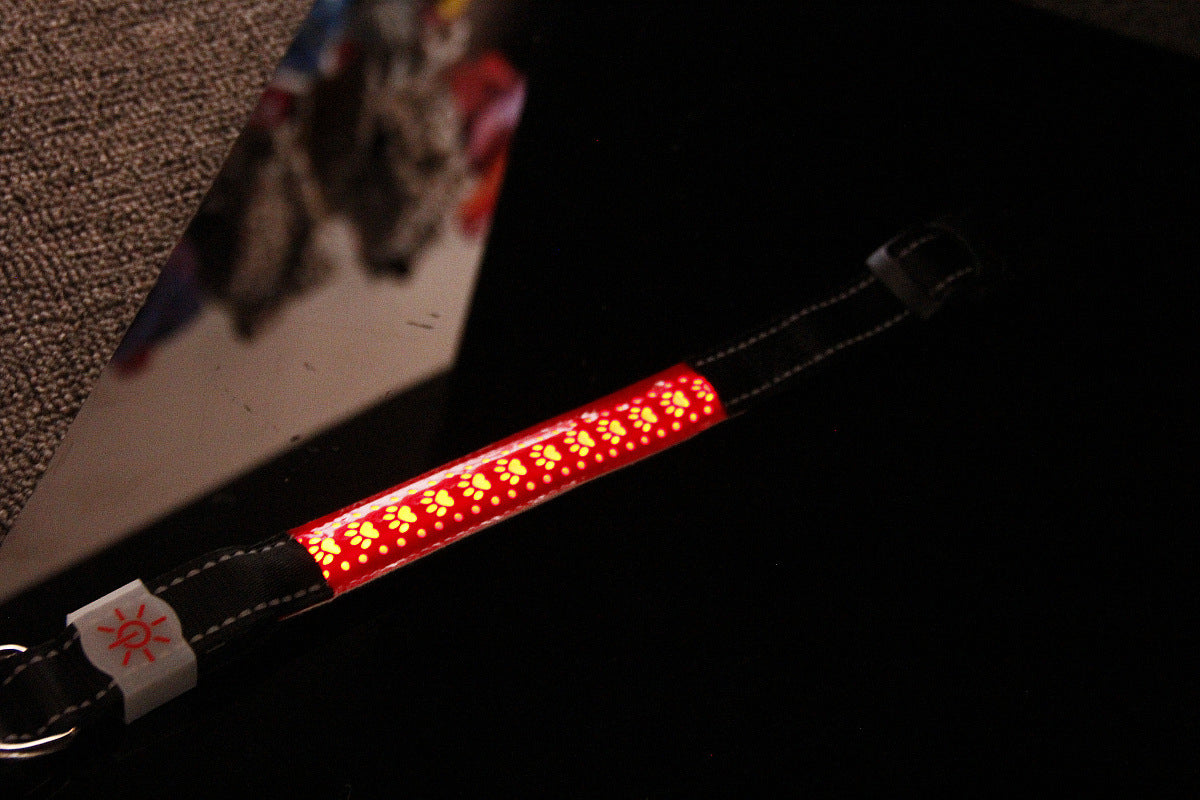 Colier Led Rechargeable en Cuir Gravé - Ajustable, Visible la Nuit