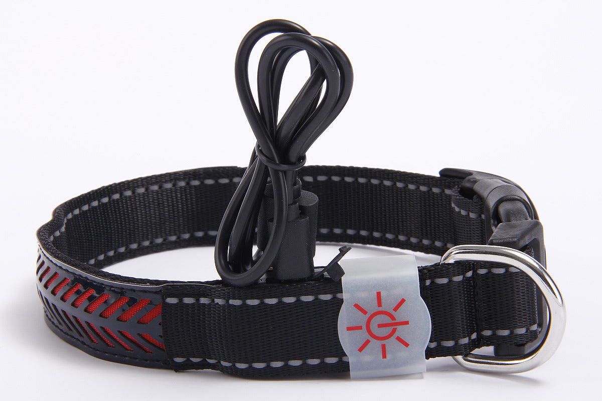 Colier Led Rechargeable en Cuir Gravé - Ajustable, Visible la Nuit