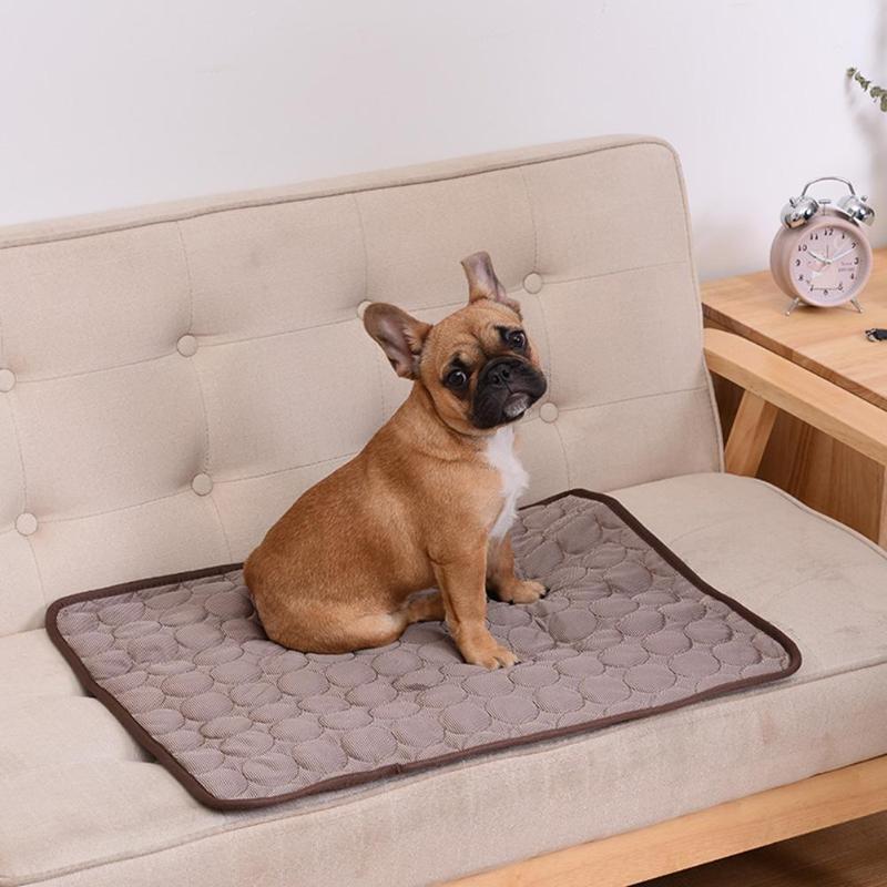 Tapis Rafraîchissant pour Chien et Chat- Idéal été, Sans Réfrigération