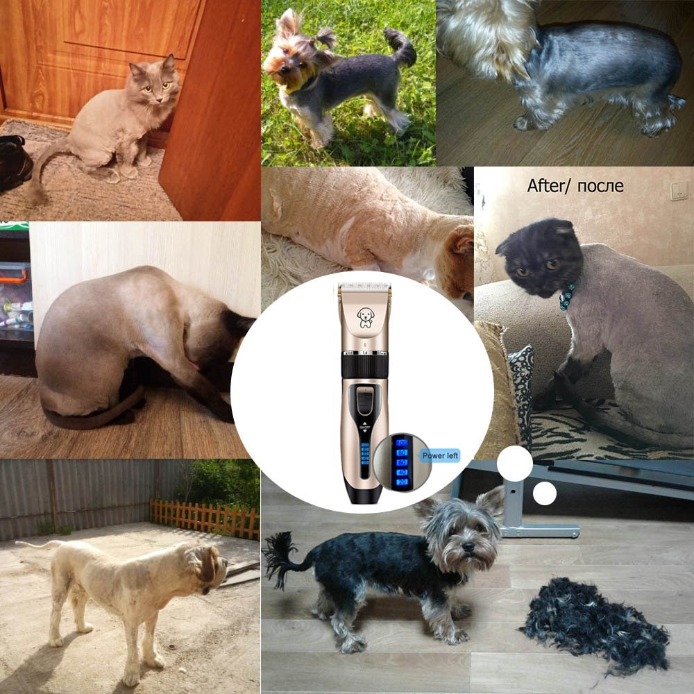 Tondeuse de Toilettage Professionnelle pour Chien- Kit Rechargeable USB Silencieuse