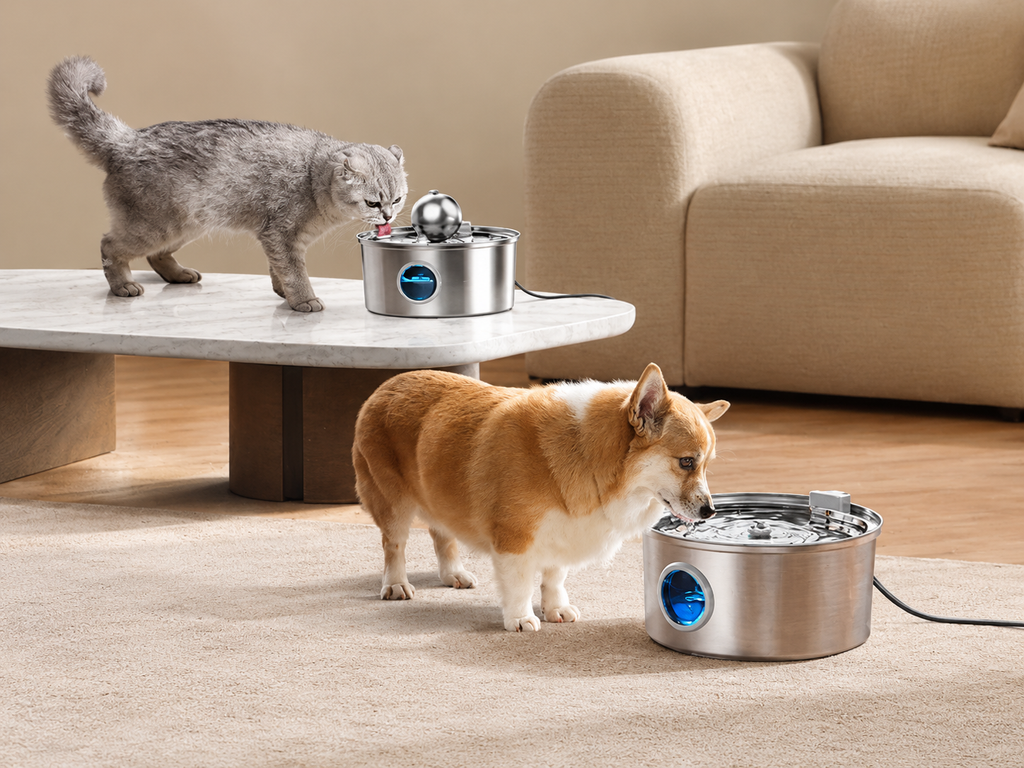 Fontaine à Eau Inox Silencieuse — Chien & Chat