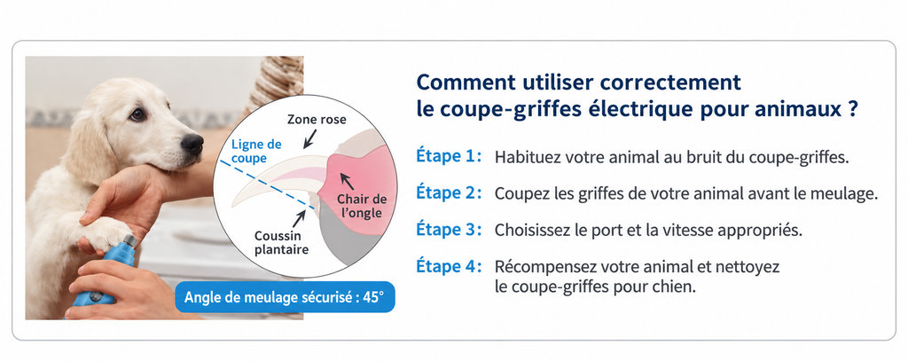 Kit-Coupe-Griffes Electrique 3-en-1 pour Chien et Chat - Rechargeable USB